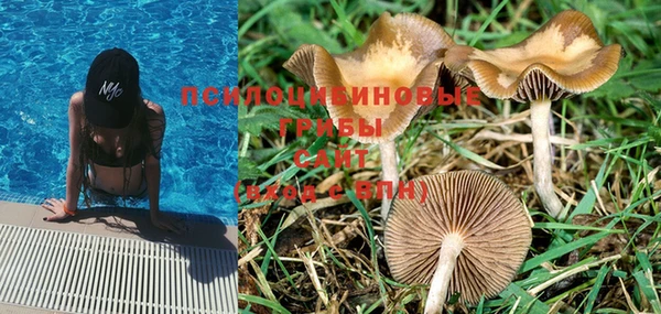 mdma Нефтегорск