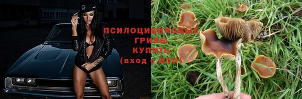ALPHA-PVP Новодвинск