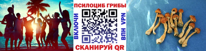 Галлюциногенные грибы Magic Shrooms Копейск