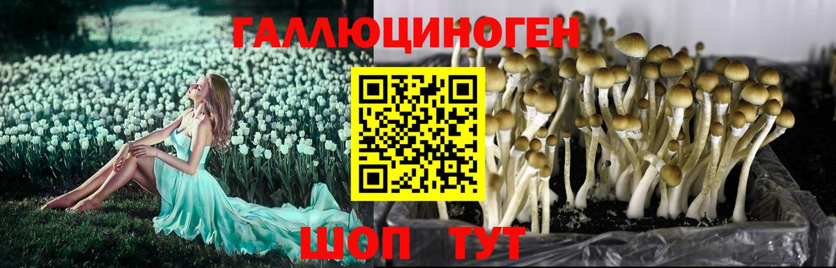 Копейск  Псилоцибиновые грибы ЛСД  Вход с VPN 