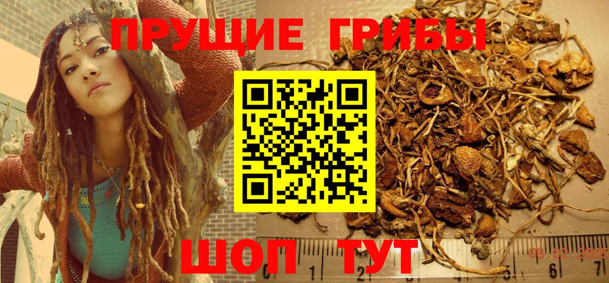 Копейск  NBOMe  Вход с VPN  Меф кристаллы  Гашиш  ГАШИШ  Кокаин  Альфа ПВП СОЛЬ кристаллы  Конопля 