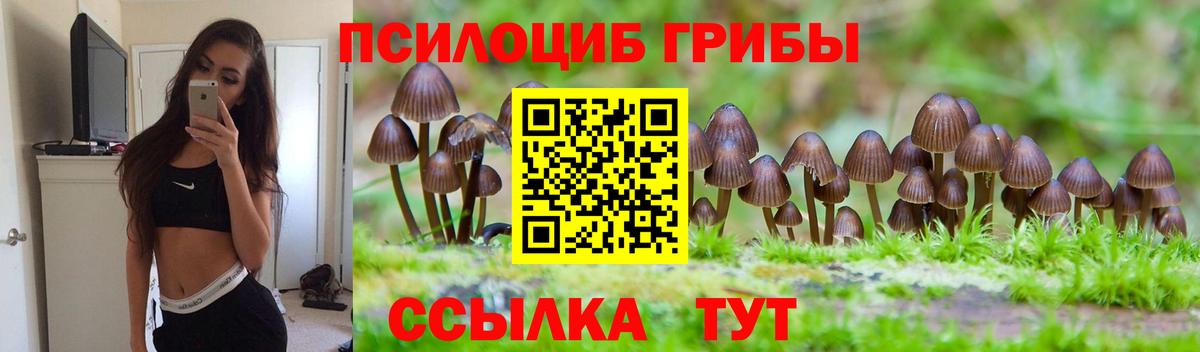 Псилоцибиновые грибы ЛСД Копейск